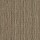 Philadelphia Commercial Carpet Tile: Intellect Tile Scholarly